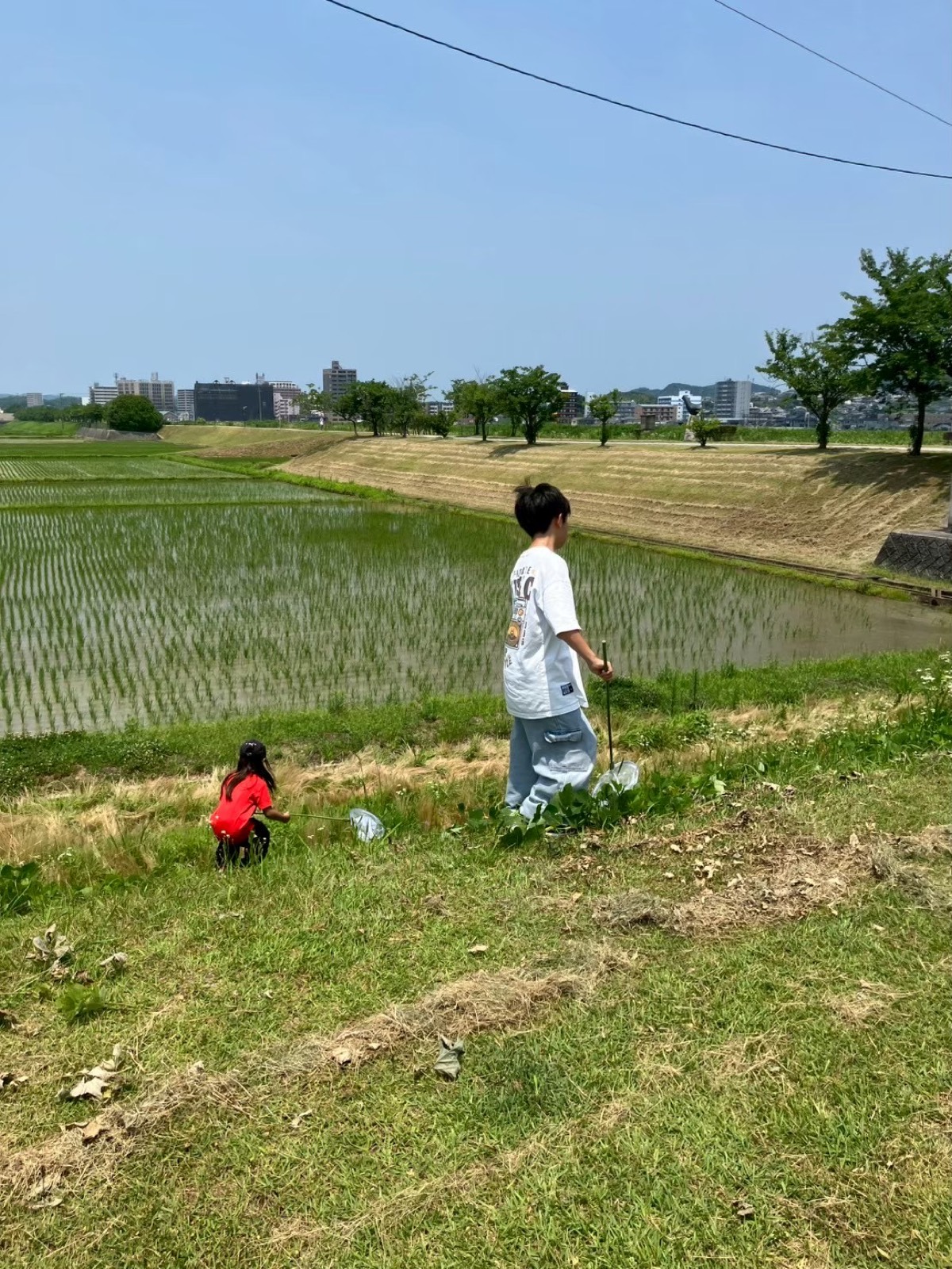 自然と触れ合う時間